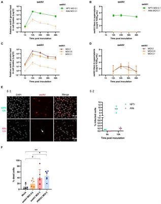 Impact of swine influenza A virus on porcine reproductive and respiratory syndrome virus infection in alveolar macrophages